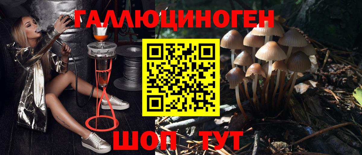 Псилоцибиновые грибы ЛСД  Вход с VPN  купить наркотик  Псилоцибиновые грибы мицелий  Электрогорск 
