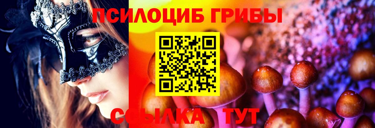 Псилоцибиновые грибы мухоморы Электрогорск